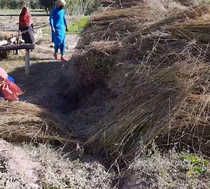 10K views · 223 reactions | village life-daily routine-village food | Village Cooking | Facebook