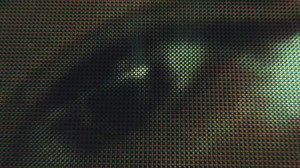 36K views · 183 reactions | Looking for a partner in crime who is...