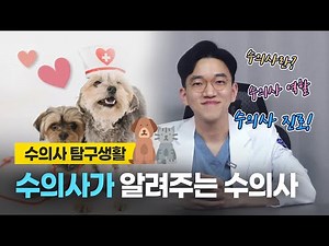 수의사가 알려주는 수의사(진로, 직업)