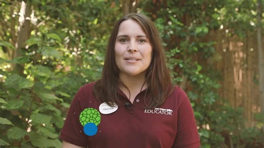 Born to bristle? The surprising truth about baby porcupines