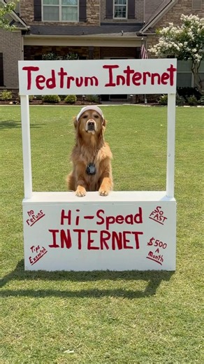 Teddy tried to get the best of ‪@Spectrum‬ (It didn’t work)… #SpectrumPartner