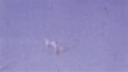 200K views · 4.6K reactions | Incredible Combat Color Film Luftwaffe Gun Camera footage over German | Aviones combate Helicóptero de ataque | Facebook