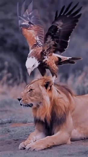 Respecting Former Presidents of Kenya