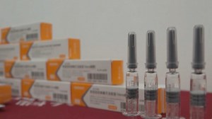 11K views · 171 reactions | #TedFailonandDJChaCha | Inanunsyo ng Palasyo na darating na ang 600,000 doses ng Sinovac vaccine mula China sa Linggo. For more latest stories, visit us at www.news5.com.ph | 105.9 True FM | Facebook