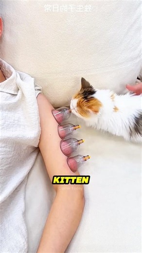 This Kitten Thought My Hand Was Milk 🍼 😍