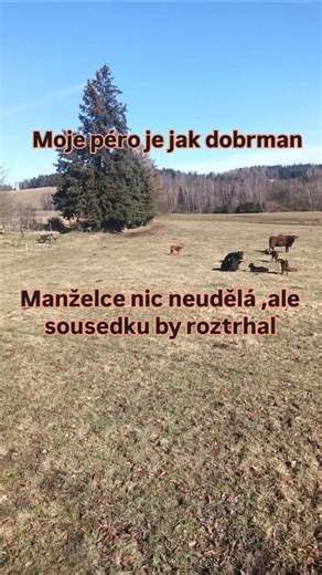 Magic Potion on Instagram