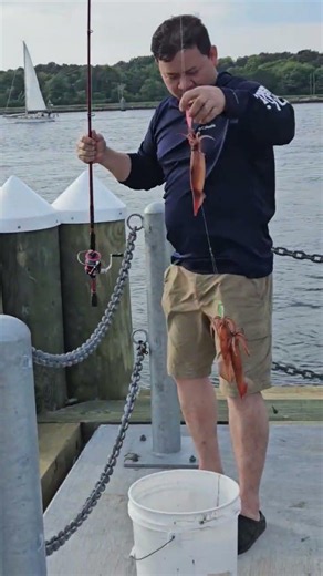 squid fishing ,cape cod canal