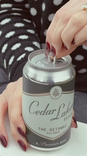 Cedar Lakes Estate on Instagram: "Introducing The Getaway — a Cedar Lakes Estate beer, brewed & packaged by Hudson Valley Brewery. We’ve long believed that hospitality is about elevation — taking something familiar and making it exceptional. That’s why, when the opportunity came to craft a Cedar Lakes Estate house beer, we knew it had to be the best beer out there. We’ve been longtime friends (& fangirls) of @hudsonvalleybrewery for more than eight years now. Over that time, the dream of a house