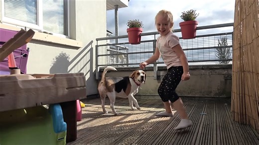 Cute dog and little girl play with bubbles for the first time