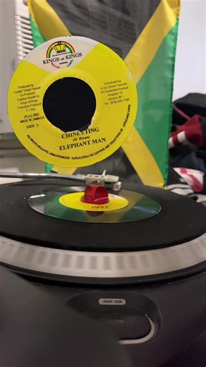 Elephant Man - Chineyting (2003) Bad Company Riddim - Kings of Kings @skattaburrell #elephantman #dancehal #vinyl #jamaicatiktok #fyp