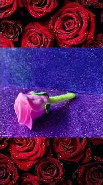 DIY-CLAY PINK 🩷 ROSE 🌹 MAKING TUTORIAL BY ME ❤️do give a like ❤️ subscribe 🥰#diyideas #diycrafts