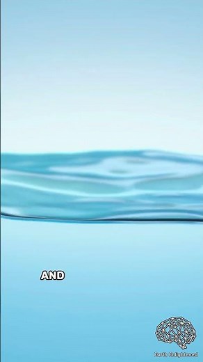 How Is Water Reflective | The Science of Reflections #shorts