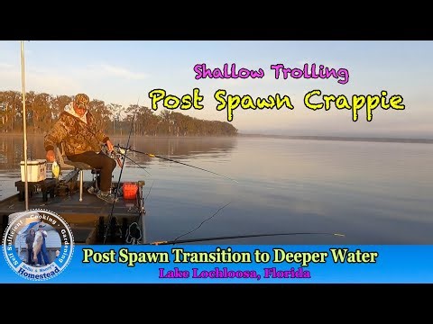 Post Spawn Spring Crappie Fishing