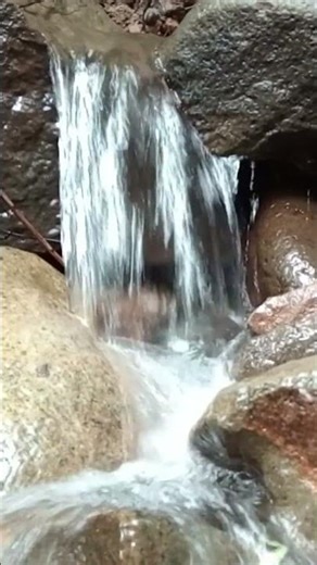 Waterfall Sounds in a Quiet Forest 🌿 | Natural ASMR for Sleep & Focus