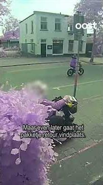 😅📦 A unique return policy for this package thief #rtvoost