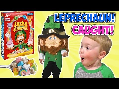 Leprechaun In Real Life Caught Messing up our House! | DavidsTV