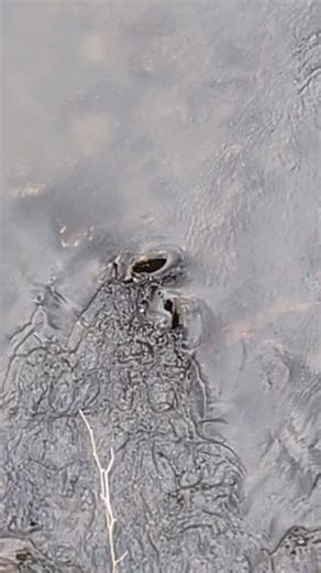 I can't figure out why this spot is so very black that it looks like a portal into nothingness... | Rebecca Tickle