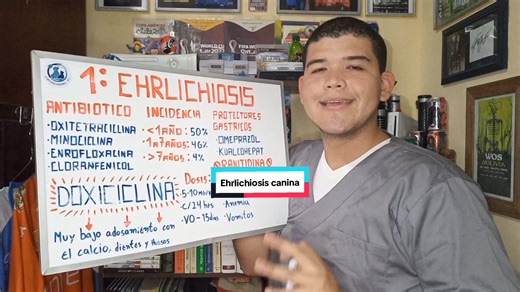 Tratamiento de Ehrlichiosis Canina: Uso de Doxiciclina