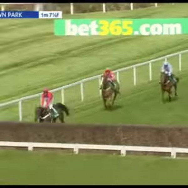 IN FULL 🎥 Relive SPRINTER SACRE's epic win in the 2016 bet365 Celebration Chase, his final career start ♥ | Sandown Park Racecourse