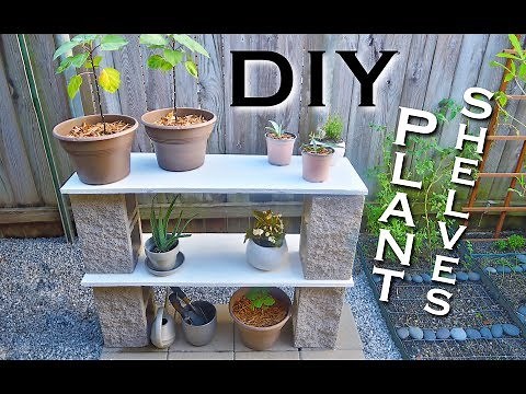 DIY PLANT SHELVES *SUPER CHEAP*