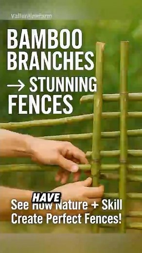 From Bamboo Branches to Stunning Fences – See How It’s Made! #BambooFences #usa #shorts