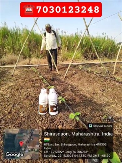 c builder #vegetables