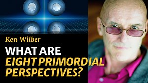 1.1K views · 39 reactions | Ken Wilber offers a stunning introduction...