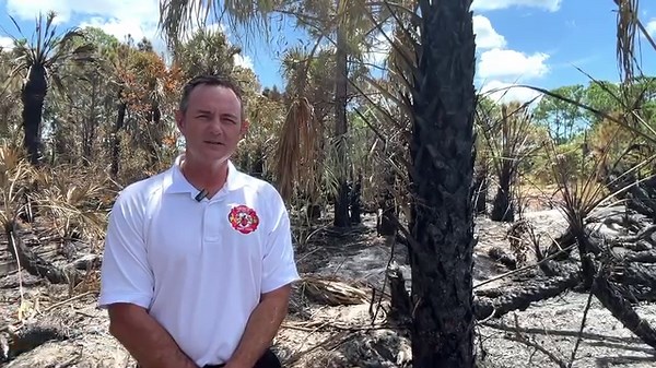 UPDATE: Venice Police Capt. Eric Hill and Venice Fire Chief Frank Giddens confirm that no structures were involved in the fires that occurred over the Labor Day weekend along the Venetian Waterway Park trail, Caspersen Beach and near the U.S. Coast Guard Auxiliary Station on Harbor Drive. No arrests have been made yet. The investigation is ongoing. | Venice, Florida Municipal Government