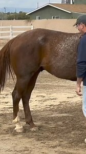 108K views · 1.1K reactions | Jim demonstrates a Masterson Method...