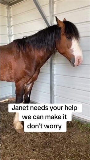 Donate to save her life!!! Please help her if you can before it's too late!! Every dollar counts!!