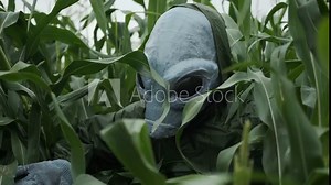 an alien in green suit stands in tall grass,making his way through thickets, an alien arrived on earth and stands in a field, concept of UFO, space, actor in alien costume