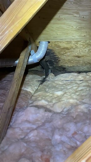 🏡Roof leaks in this huge attic 💦 #roof #southflorida #home #roofer