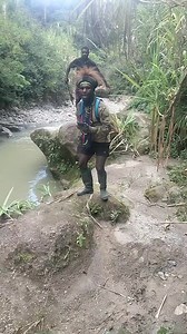 Ap alm wisisi pegunungan papua kali #reels @sorotan #reels @sorotan #pengikut | Faldo Telenggen