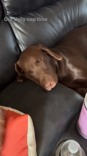 Smitty and me just chillin | Codie Allen