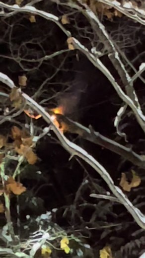 Powerline Fire Incident: Storm Damage Report