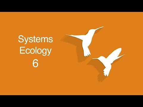 Ecosystem Dynamics