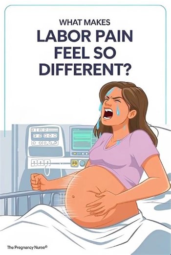 WHAT MAKES LABOR PAIN FEEL SO DIFFERENT? #pregnancy #pregnant #baby #care #labor #pain #medical 🤰👨‍⚕