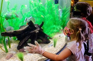 Liberty Science Center is back, with exploding watermelons and Angry Birds