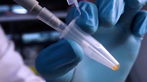 Characterization of a Pathogenic Escherichia coli Strain Derived from Oreochromis spp. Farms Using Whole-Genome Sequencing