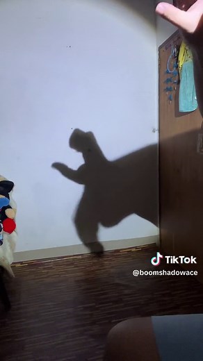 Easy Shadow Puppets for Beginners: Groove to the Beat with Shadow Ace Nicki