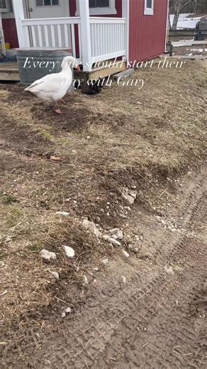 14K views · 620 reactions | The Devoted Barn on Reels | Facebook