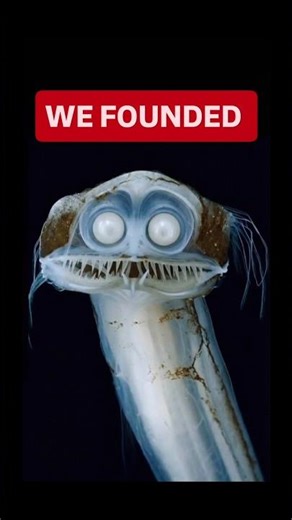 You Won't Sleep After Seeing These Deep Sea Creatures #scary #ocean #shorts