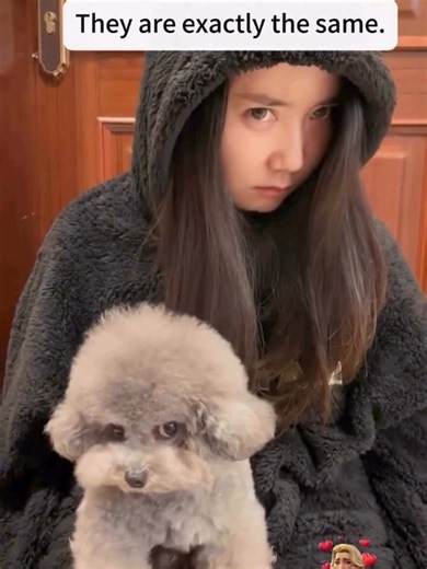 Hilarious Pet Reactions Compilation