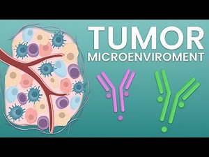 Multiplex analysis of the tumor microenvironment