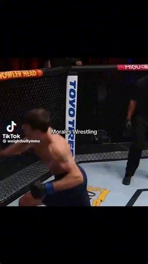 wrestling isn't even realjust grab a leg and run until they fall over