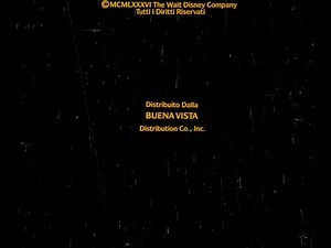 Distribuito Dalla Buena Vista Distribution Co., Inc. (1986)