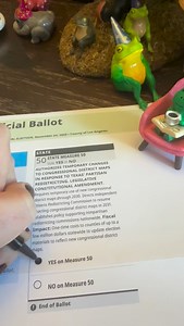 In 2016 Gov. Jerry Brown signed Assembly Bill 1494 into law, legalizing ballot selfies as of Jan. 1, 2017 🌈 ⭐️ #yesonprop50 let’s go California! 💙💙💙💙💙💙 | The Approved Kirsten Vangsness Page