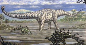 Cientistas descobrem dinossauro com o pescoço mais longo; veja tamanho