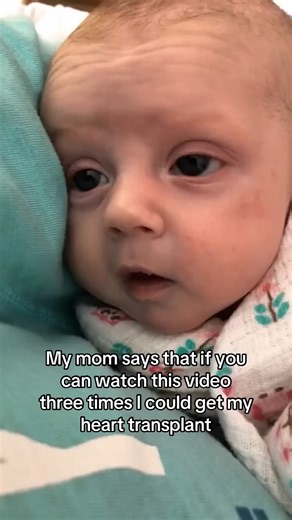 selena on Instagram: "My baby is fighting for her life. She has a severe congenital heart defect (CHD) and is undergoing urgent treatment, hooked to tubes and monitors just to stay stable. I cannot afford the medical bills on my own. Every contribution helps keep her alive and gives her a chance at a healthy future. Please support her treatment the GoFundMe link is in my bio. 🙏❤️ Even 1 dollar helps. #CHD #HeartCondition #SaveMyBaby #MedicalEmergency #BabyInHospital #GoFundMe #PleaseHelp #Donat