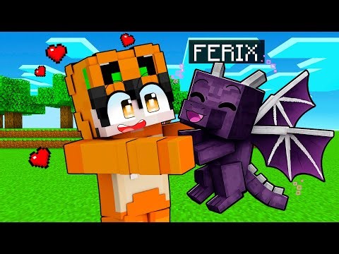 AKU HIDUP SEBAGAI BABY ENDER DRAGON DI MINECRAFT!!